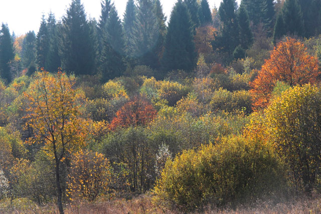 pokoje bieszczady